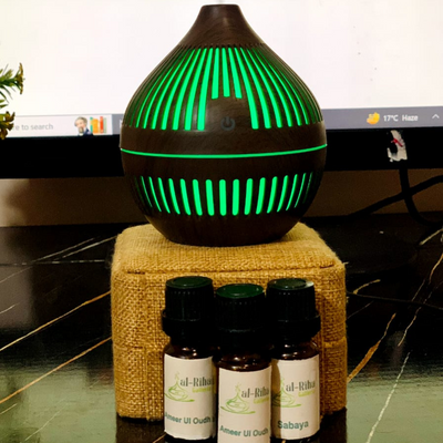 COCONUT SHAPE HUMIDIFIER