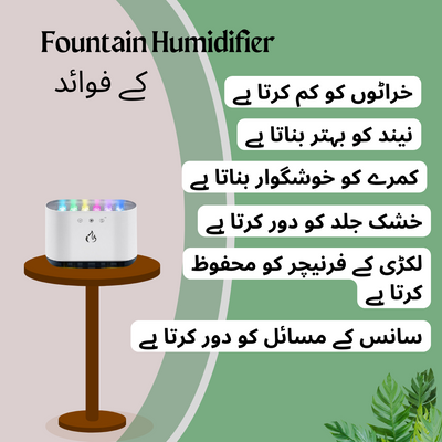 Purify & Refresh Your with Space Fountain Humidifier