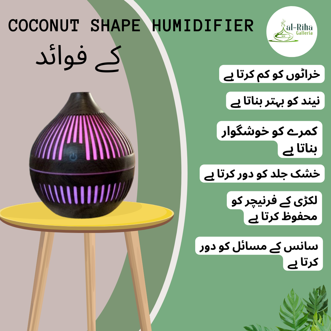 COCONUT SHAPE HUMIDIFIER