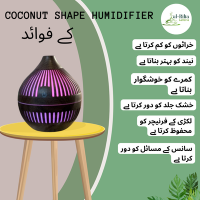 COCONUT SHAPE HUMIDIFIER