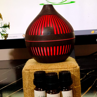 COCONUT SHAPE HUMIDIFIER