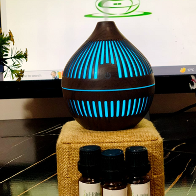 COCONUT SHAPE HUMIDIFIER